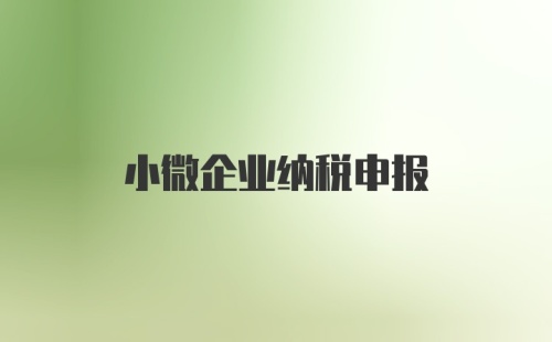 小微企业纳税申报