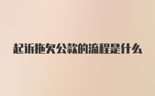 起诉拖欠公款的流程是什么