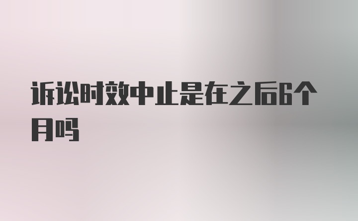 诉讼时效中止是在之后6个月吗