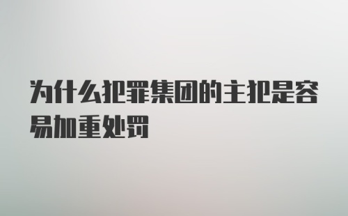 为什么犯罪集团的主犯是容易加重处罚