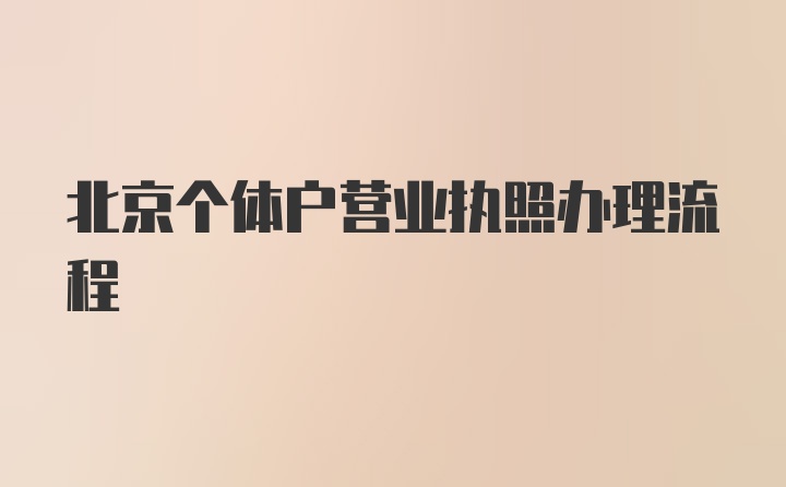 北京个体户营业执照办理流程