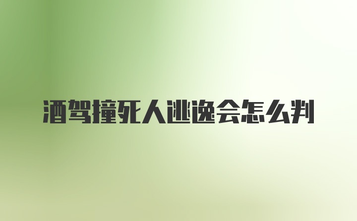 酒驾撞死人逃逸会怎么判