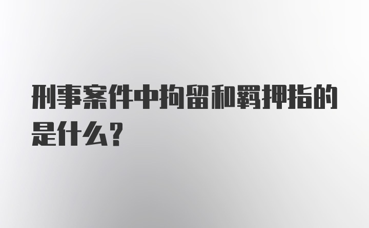 刑事案件中拘留和羁押指的是什么？