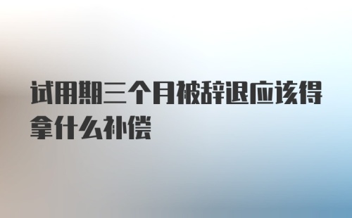 试用期三个月被辞退应该得拿什么补偿