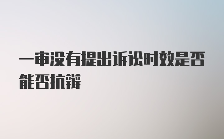 一审没有提出诉讼时效是否能否抗辩