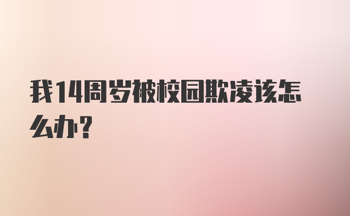 我14周岁被校园欺凌该怎么办？