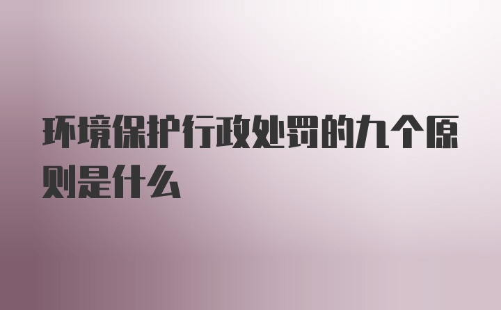 环境保护行政处罚的九个原则是什么