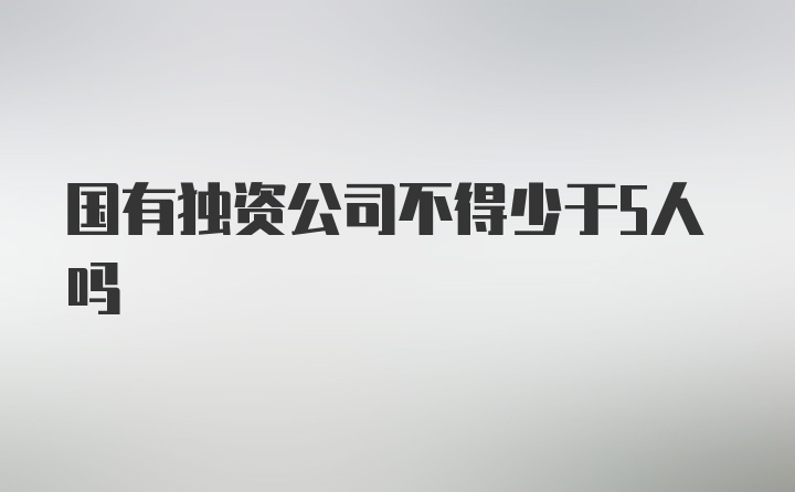 国有独资公司不得少于5人吗