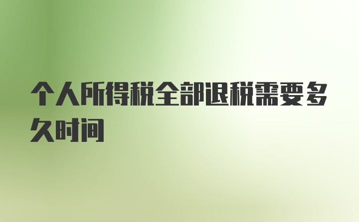 个人所得税全部退税需要多久时间