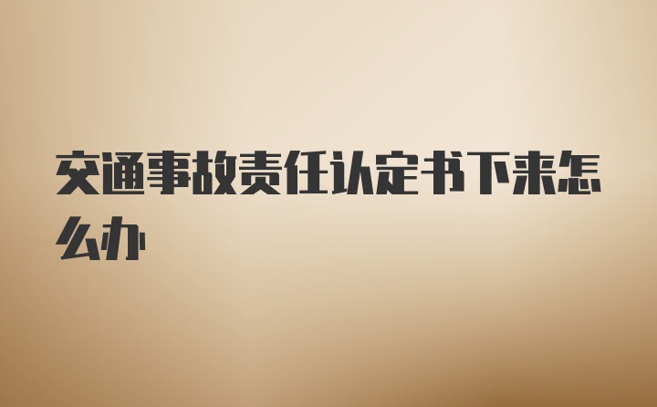 交通事故责任认定书下来怎么办