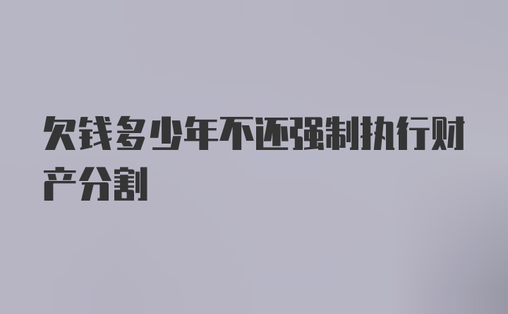 欠钱多少年不还强制执行财产分割