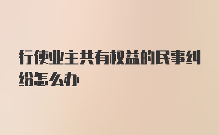 行使业主共有权益的民事纠纷怎么办