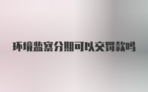 环境监察分期可以交罚款吗