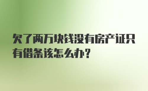 欠了两万块钱没有房产证只有借条该怎么办？