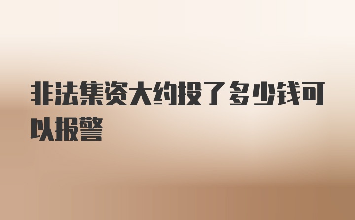 非法集资大约投了多少钱可以报警