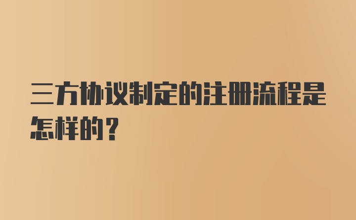 三方协议制定的注册流程是怎样的？