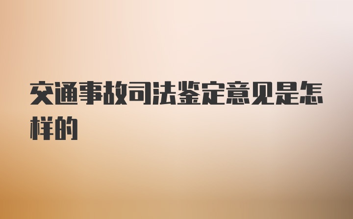 交通事故司法鉴定意见是怎样的