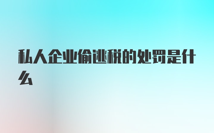 私人企业偷逃税的处罚是什么