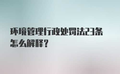 环境管理行政处罚法23条怎么解释？