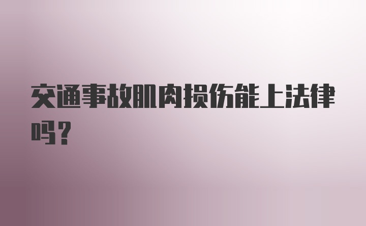 交通事故肌肉损伤能上法律吗？