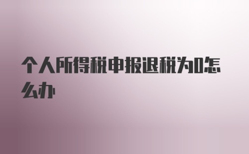 个人所得税申报退税为0怎么办