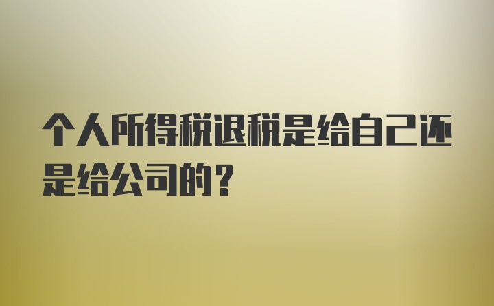 个人所得税退税是给自己还是给公司的？