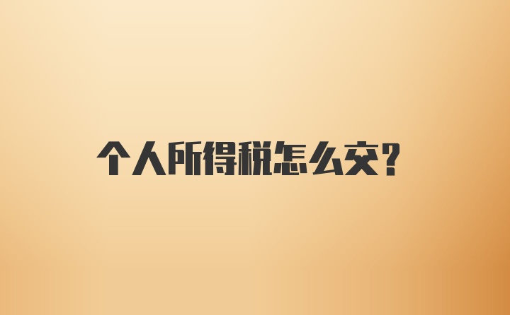 个人所得税怎么交？