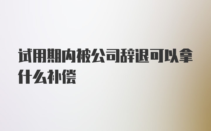 试用期内被公司辞退可以拿什么补偿