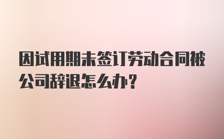 因试用期未签订劳动合同被公司辞退怎么办？