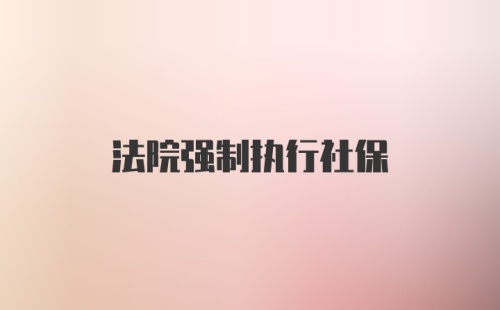 法院强制执行社保