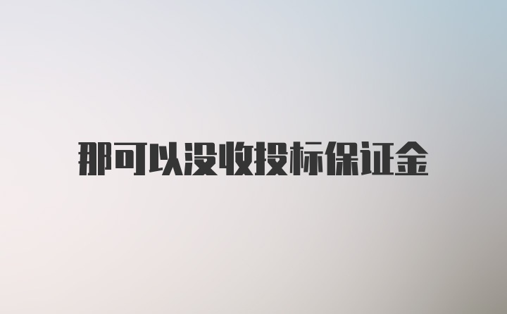 那可以没收投标保证金