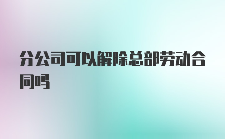 分公司可以解除总部劳动合同吗