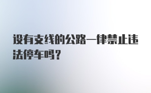 设有支线的公路一律禁止违法停车吗？