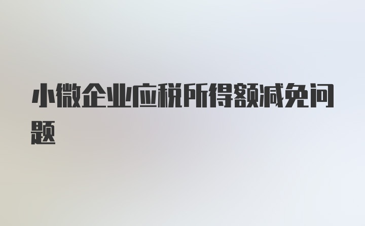 小微企业应税所得额减免问题