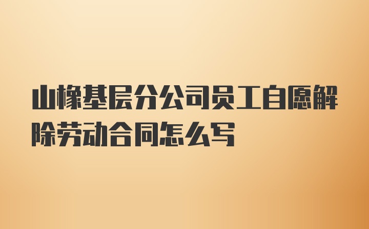 山橡基层分公司员工自愿解除劳动合同怎么写