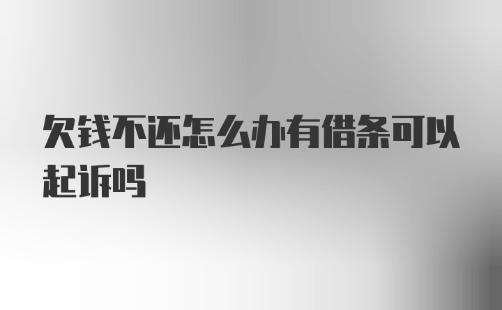 欠钱不还怎么办有借条可以起诉吗