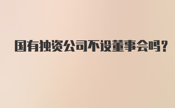 国有独资公司不设董事会吗？