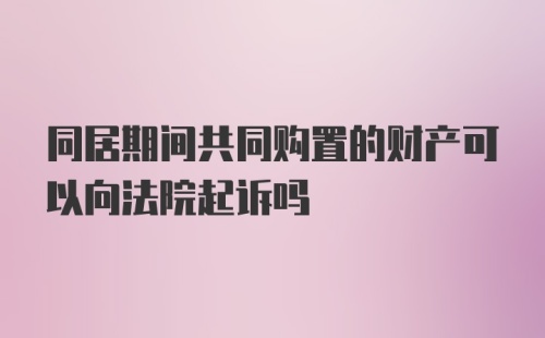 同居期间共同购置的财产可以向法院起诉吗