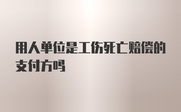 用人单位是工伤死亡赔偿的支付方吗