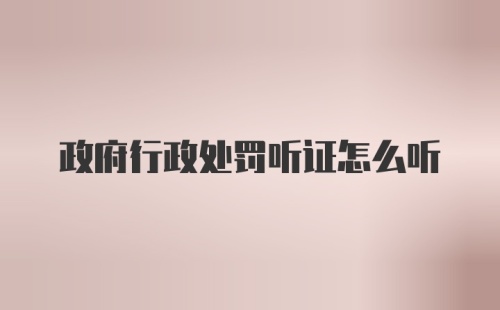 政府行政处罚听证怎么听