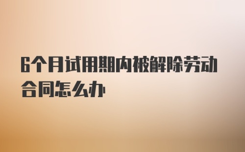 6个月试用期内被解除劳动合同怎么办