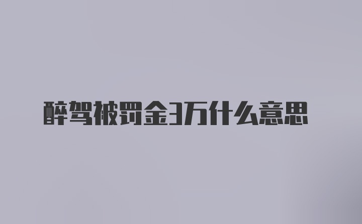 醉驾被罚金3万什么意思