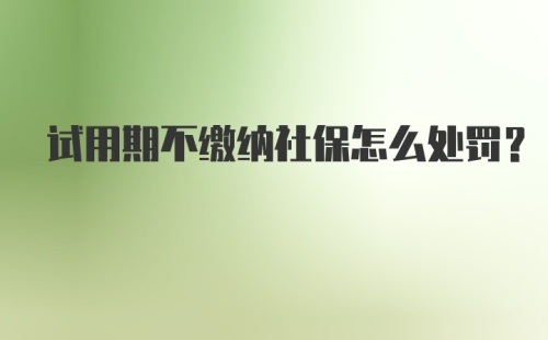 试用期不缴纳社保怎么处罚？