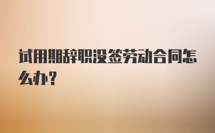 试用期辞职没签劳动合同怎么办？