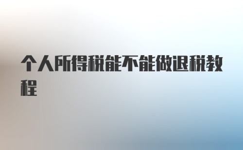 个人所得税能不能做退税教程