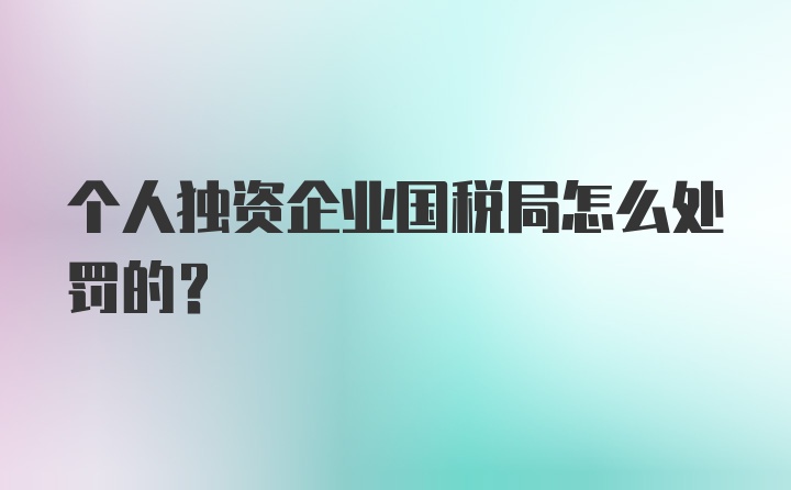 个人独资企业国税局怎么处罚的？