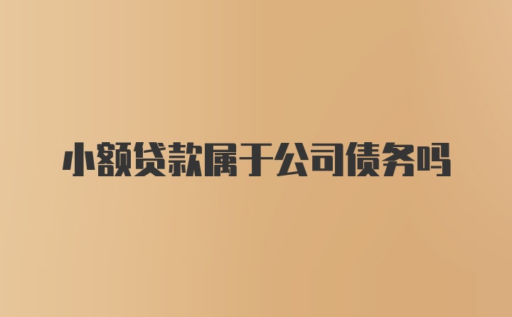 小额贷款属于公司债务吗