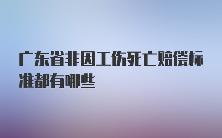 广东省非因工伤死亡赔偿标准都有哪些