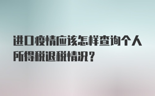 进口疫情应该怎样查询个人所得税退税情况？