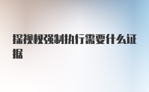 探视权强制执行需要什么证据